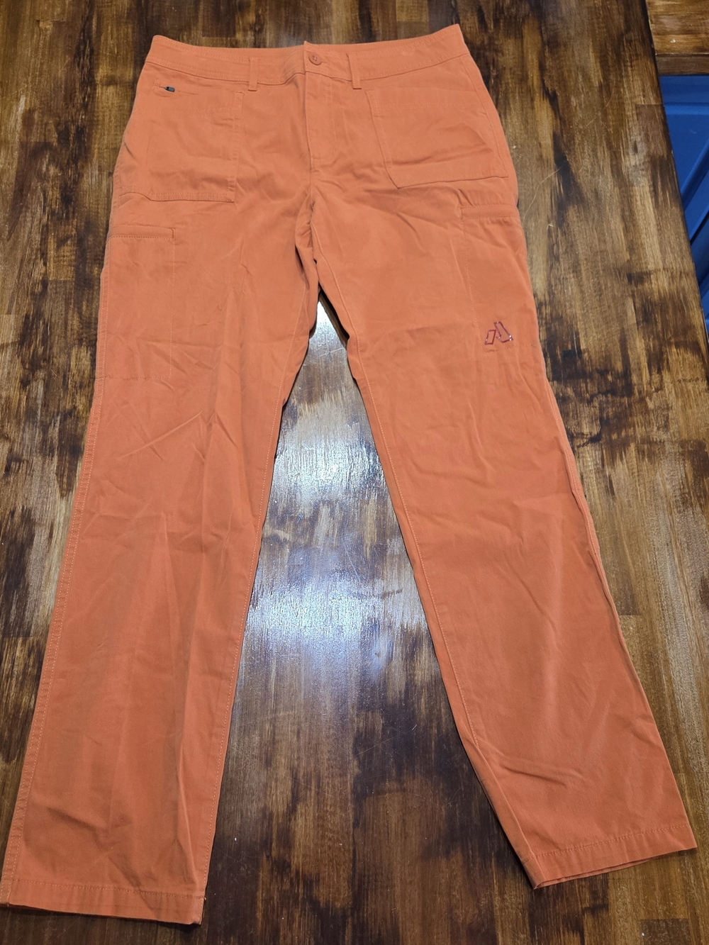 Eddie Bauer Ascent Cargo Pants Womens 6 Rust Orange Lightweight Hiking Gorpcore